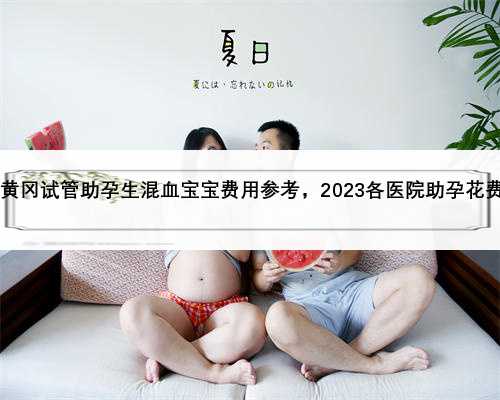 2023黄冈试管助孕生混血宝宝费用参考，2023各医院助孕花费排名