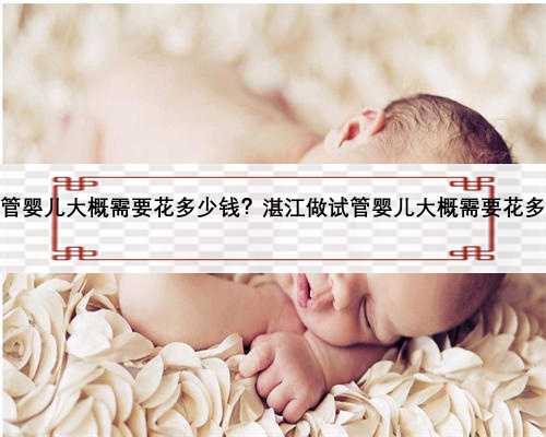 湛江做试管婴儿大概需要花多少钱？湛江做试管婴儿大概需要花多少钱呢？